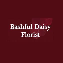 Bashful Daisy Florist | 730 N Andrews Ave, Fort Lauderdale, FL 33311, United States | Phone: (954) 763-3383