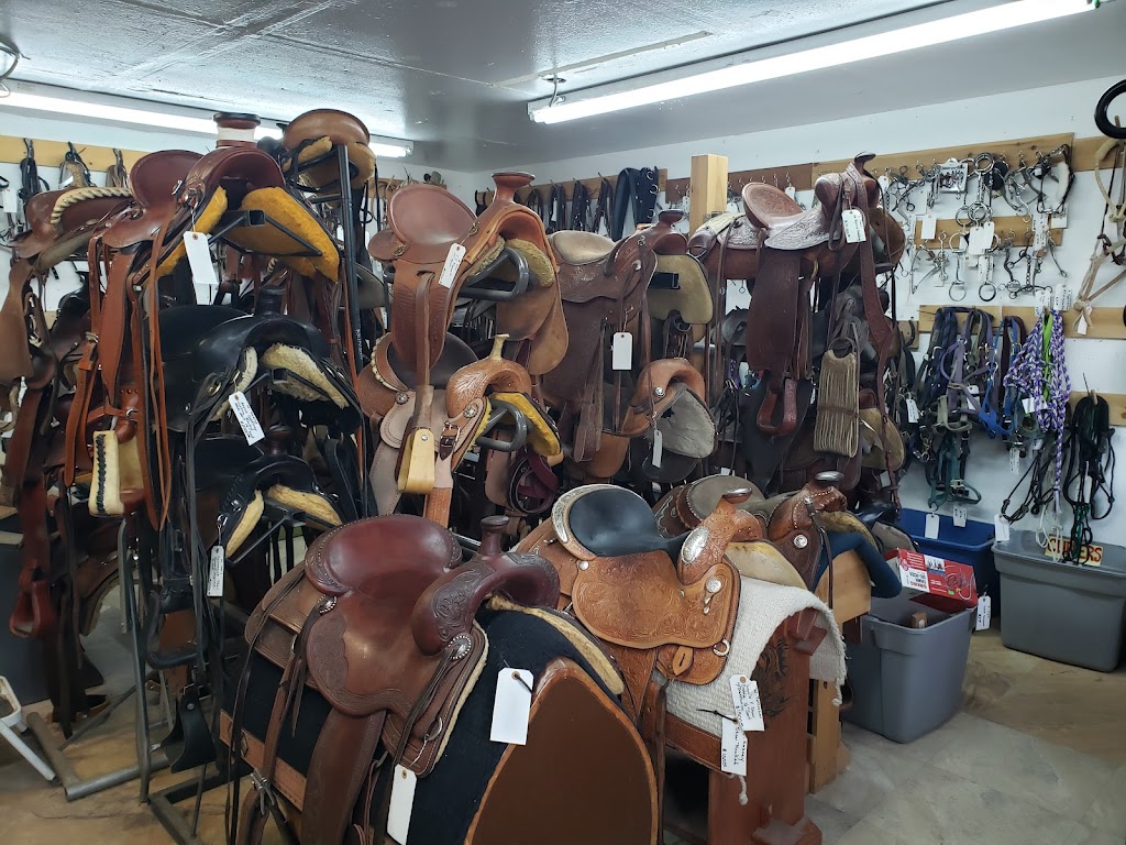 The Thrifty Equine | 1501 Fairview Dr, Carson City, NV 89701, USA | Phone: (775) 400-6582