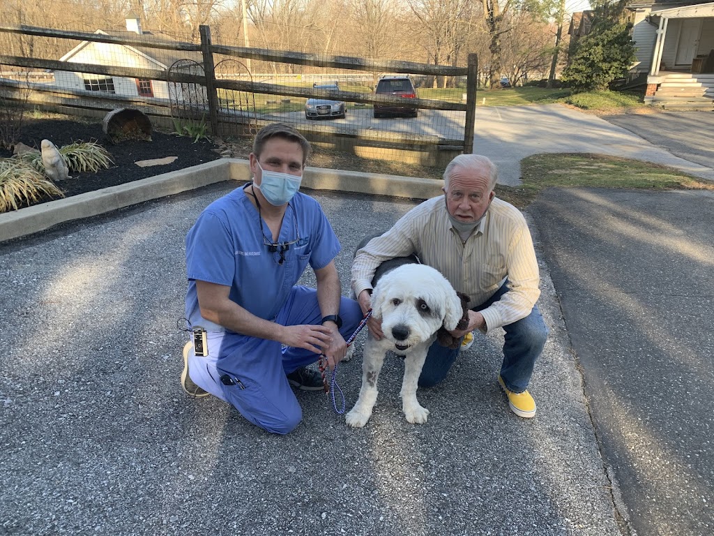 Veterinary Dentistry Specialists | 455 Old Baltimore Pike, Chadds Ford, PA 19317, USA | Phone: (484) 775-0557