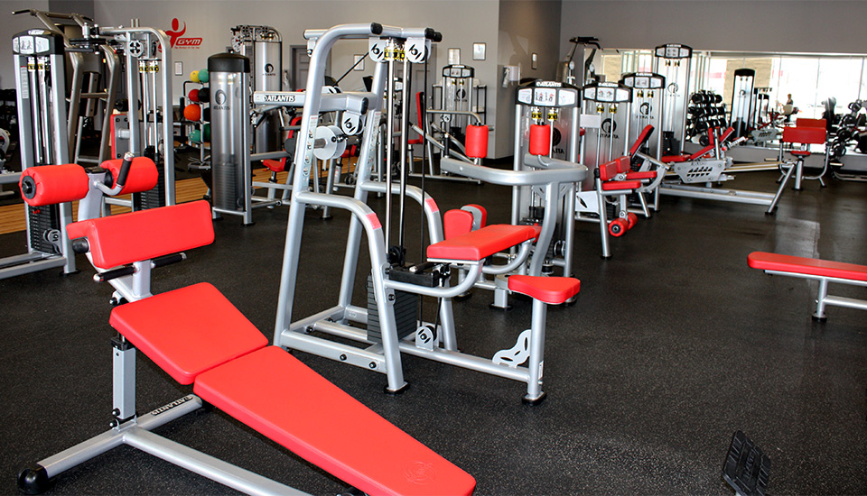 Fit Gym of Fenton | 1177 Gravois Rd, Fenton, MO 63026, USA | Phone: (636) 678-7184