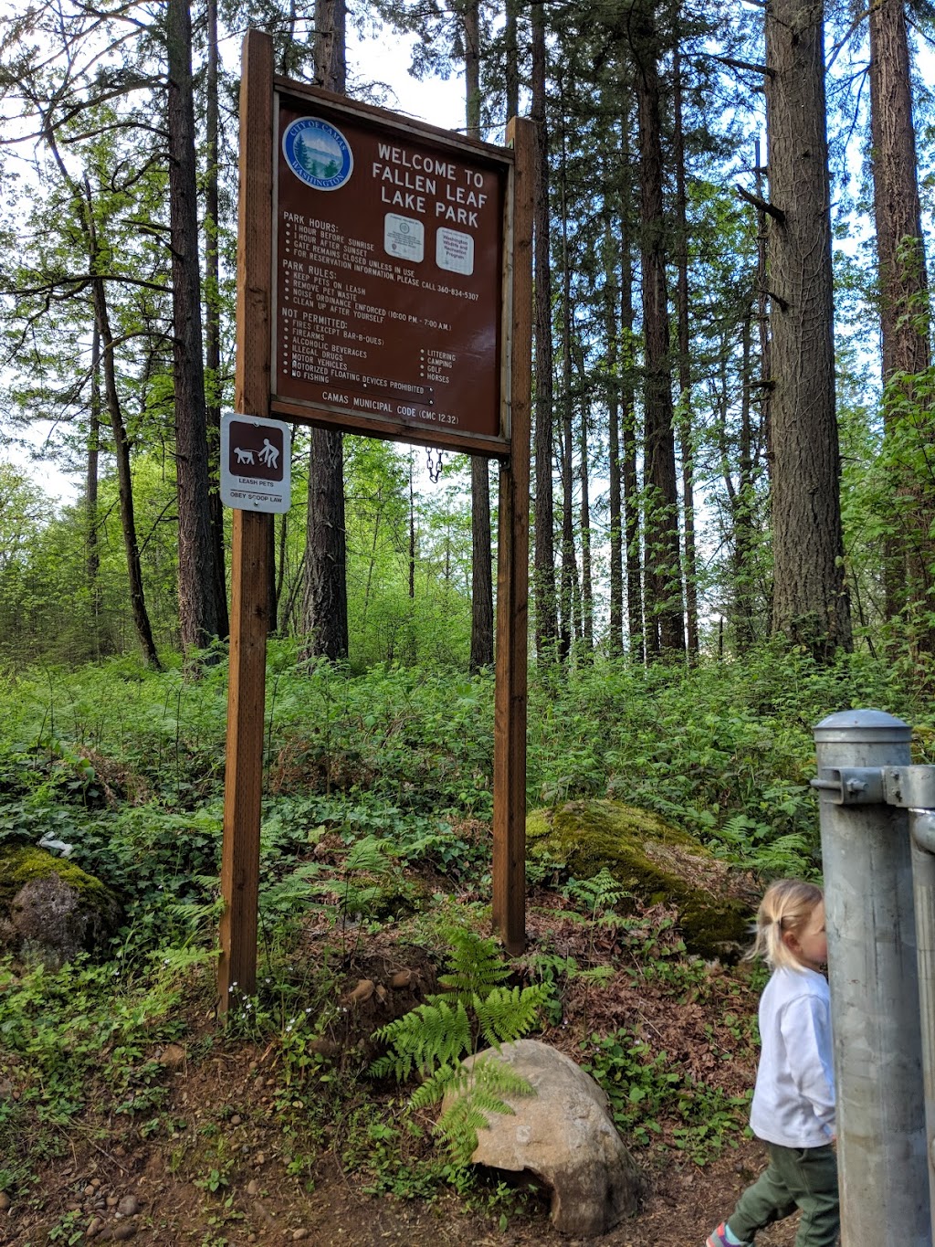 Fallen Leaf Lake Park | 2911 NE Everett St, Camas, WA 98607, USA | Phone: (360) 834-5307