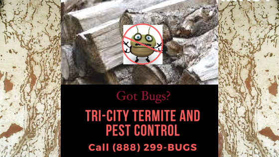 Tri-City Termite and Pest Control | 141 Sharp Ave, London, OH 43140, USA | Phone: (614) 332-4840