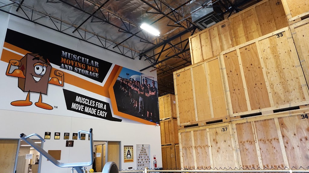 Muscular Moving Men and Storage | 77 N 45th Ave Suite 1, Phoenix, AZ 85043, USA | Phone: (602) 932-6181