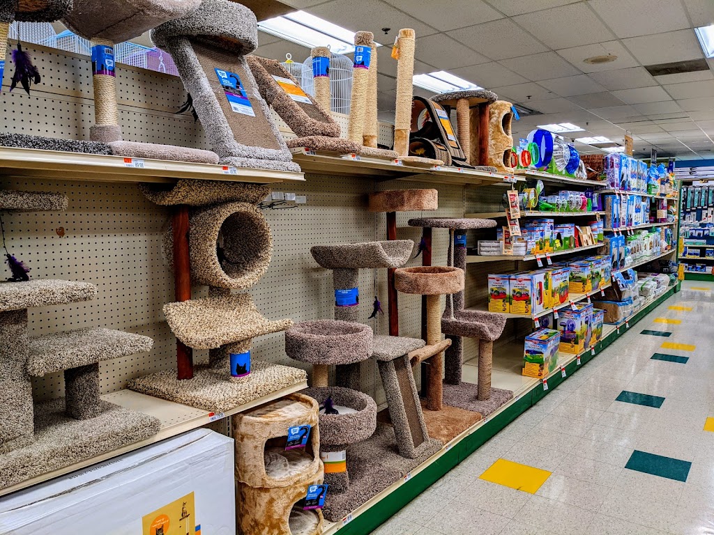 Pet Supplies Plus Redford Township | 14835 Telegraph Rd, Redford Charter Twp, MI 48239, USA | Phone: (313) 255-1633