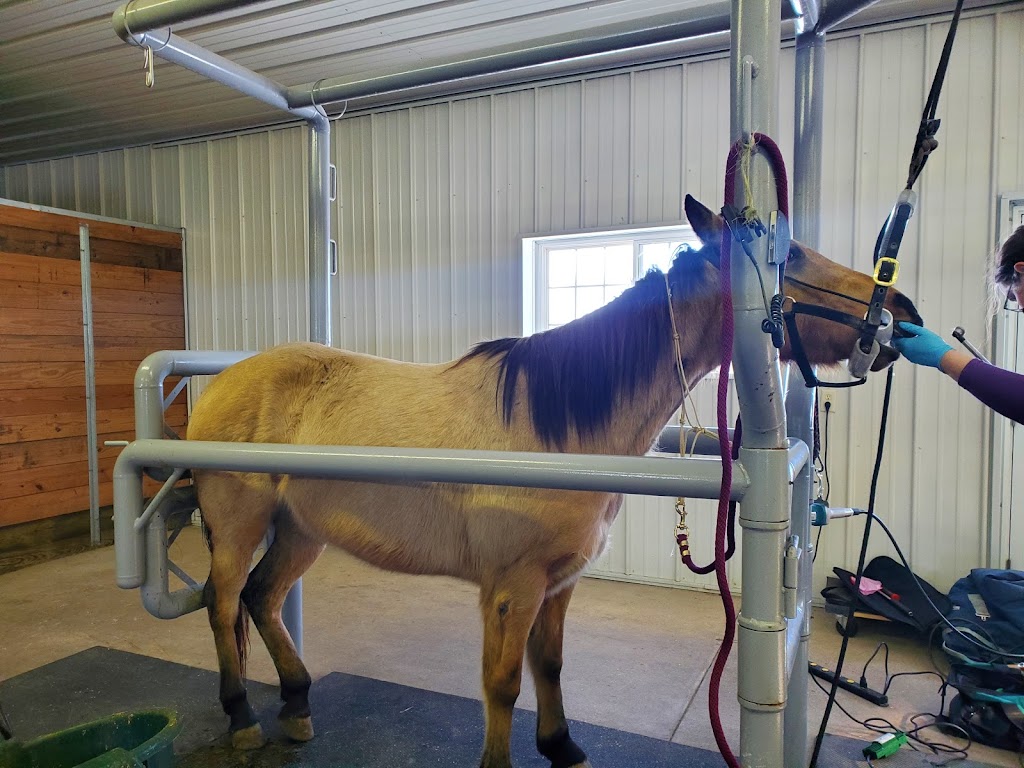 Sunrise Equine Veterinary Services | 39318 Poor Farm Rd, North Branch, MN 55056, USA | Phone: (651) 583-2162