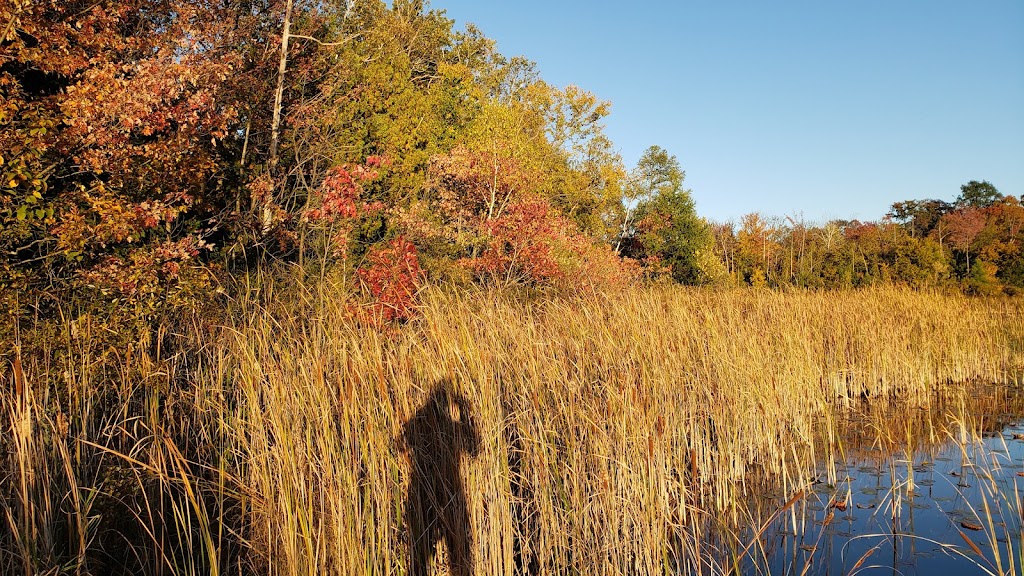 Huiras Lake State Natural Area | 6625 Clover Valley Rd, Fredonia, WI 53021, USA | Phone: (608) 266-0394