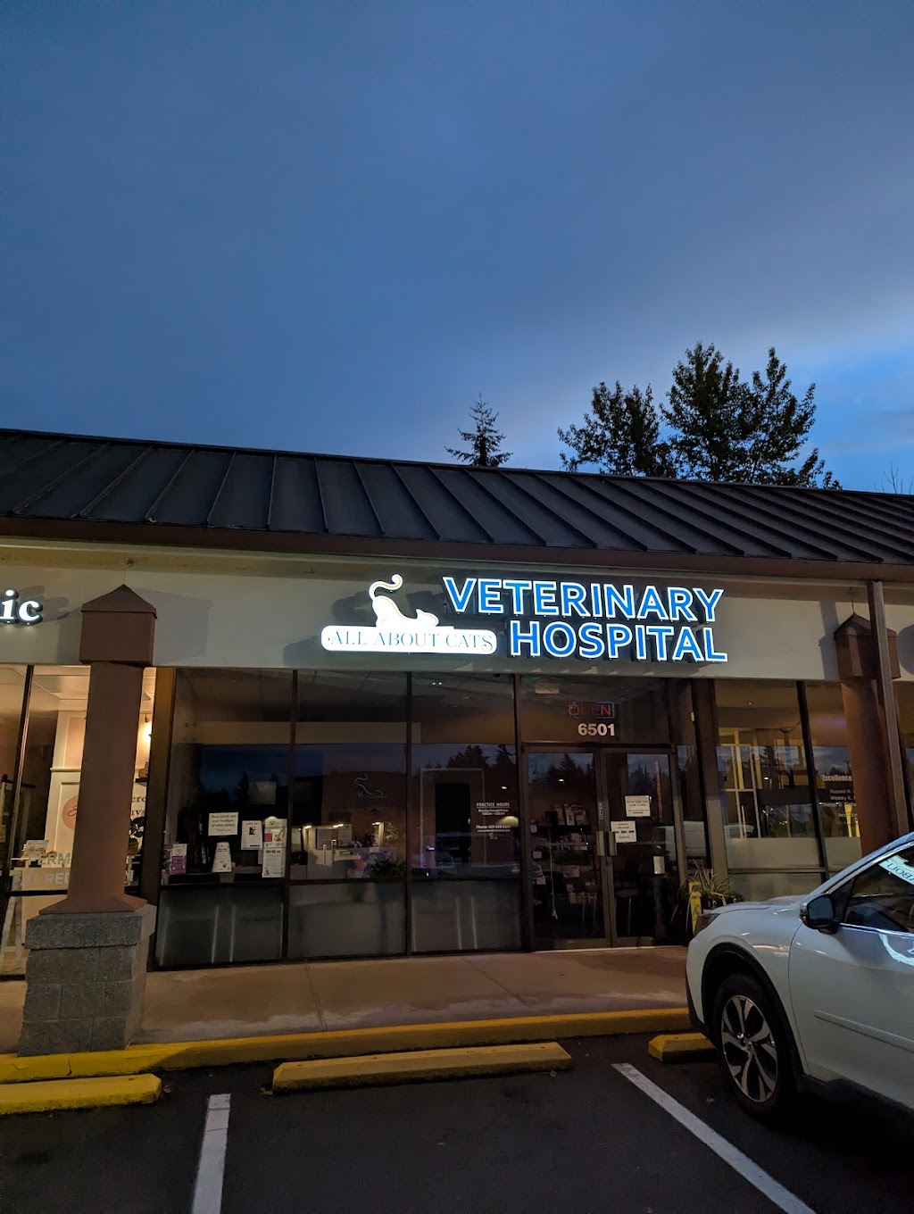 All About Cats Veterinary Hospital | 6501 132nd Ave NE, Kirkland, WA 98033, USA | Phone: (425) 636-8201