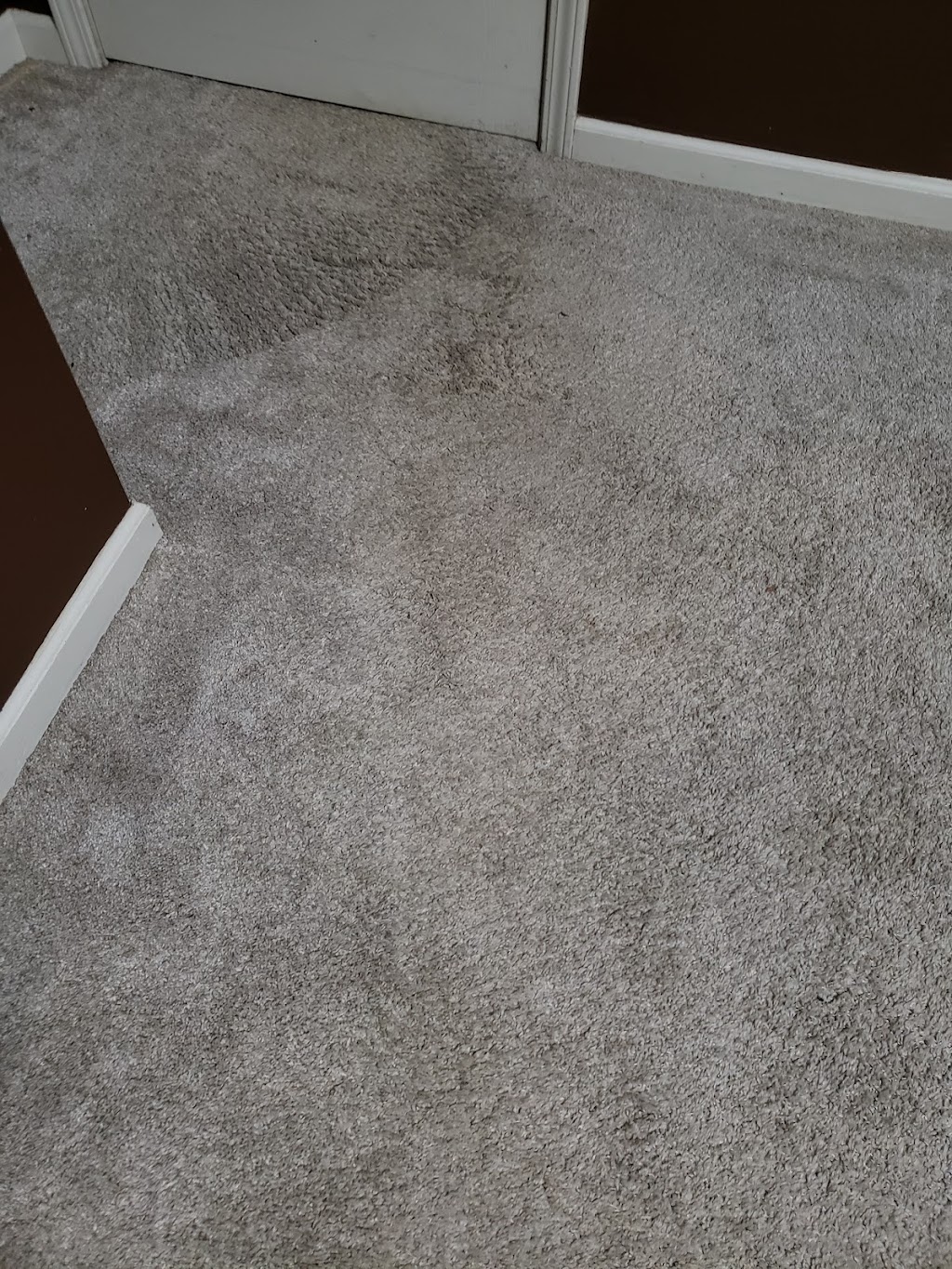 Trinity Carpet Cleaning | 6460 Wells Grove Dr, Bartlett, TN 38135, USA | Phone: (901) 643-6735