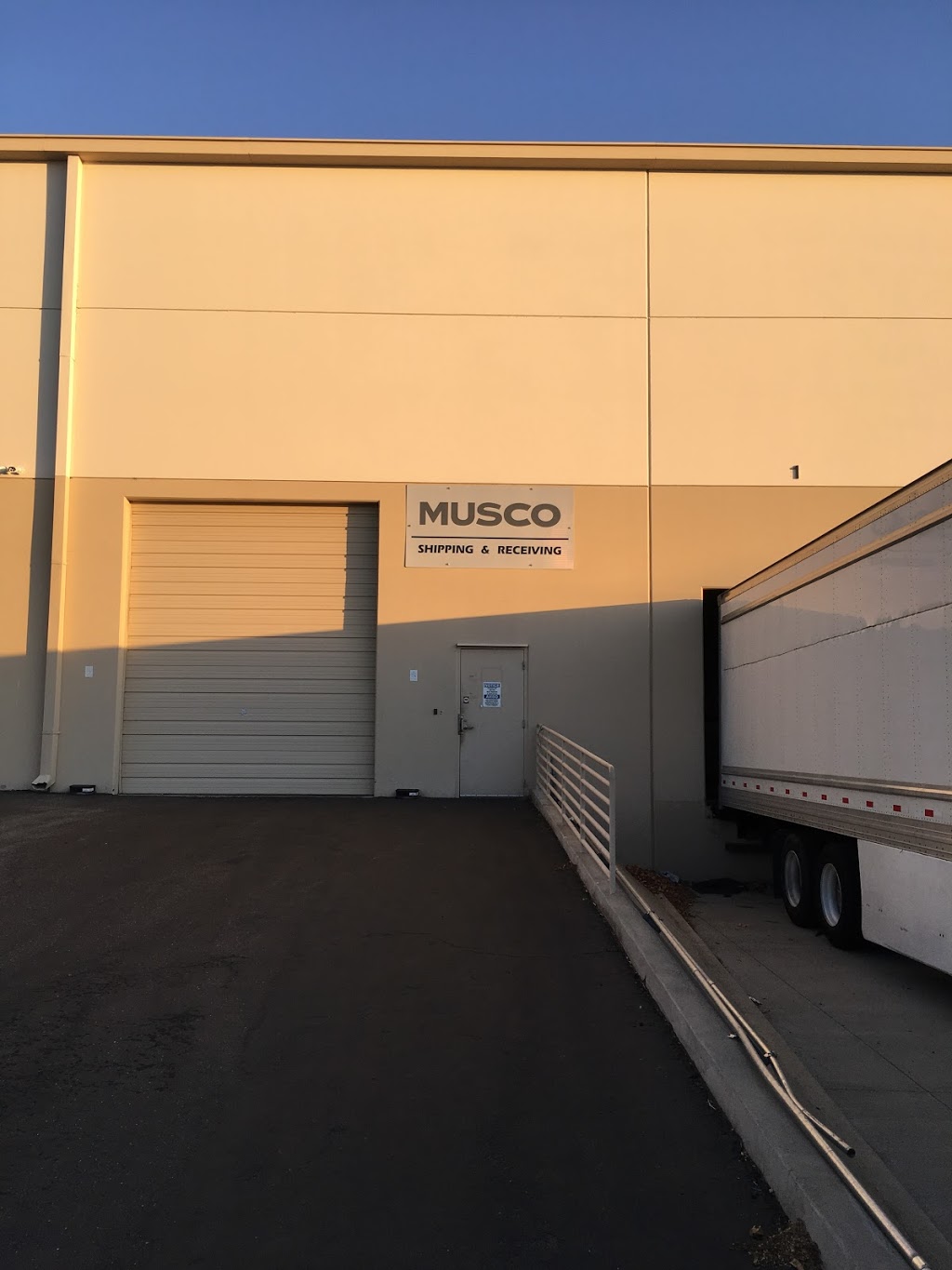 Musco family olive | 25176 S Schulte Rd, Tracy, CA 95377 | Phone: (209) 221-2790