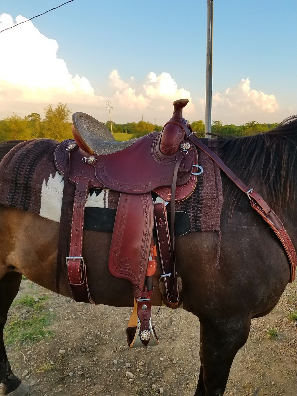 H R Saddles & Tack | 3050 Pvt Rd 5309, Farmersville, TX 75442, USA | Phone: (972) 784-7680
