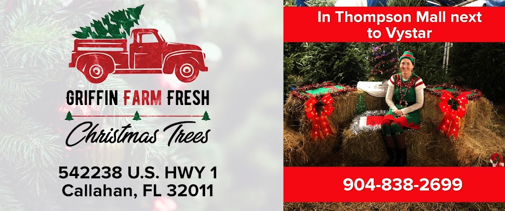 Griffin Farm Fresh Christmas Trees | 542238 US-1, Callahan, FL 32011, USA | Phone: (904) 838-2699