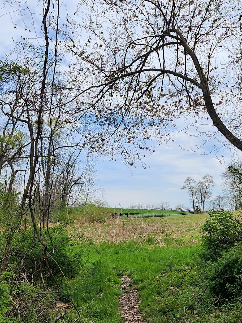 Jennings Chapel Parking, Patuxent River State Park | Woodbine, MD 21797, USA | Phone: (301) 924-2127