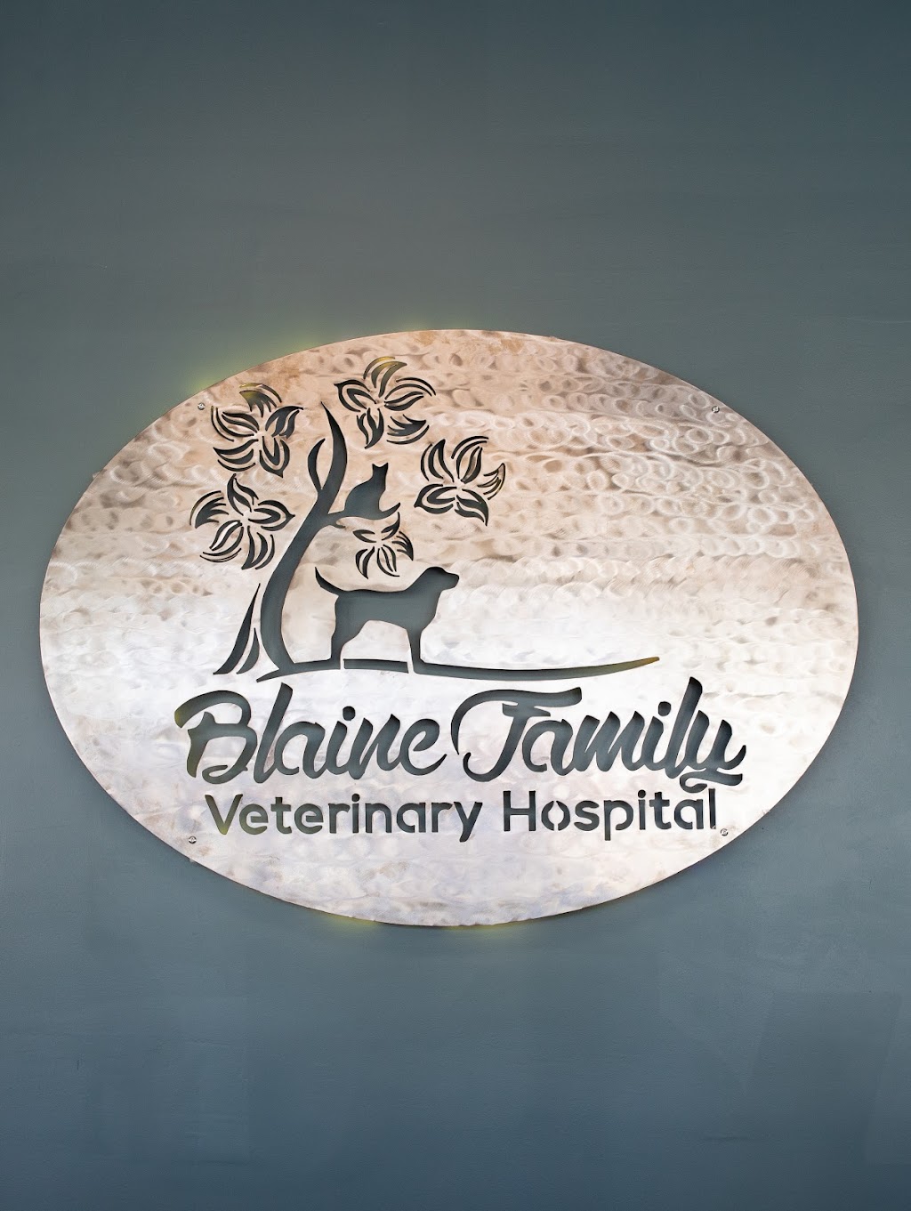 Blaine Family Veterinary Hospital | 10617 University Ave NE, Blaine, MN 55434, USA | Phone: (763) 754-2381