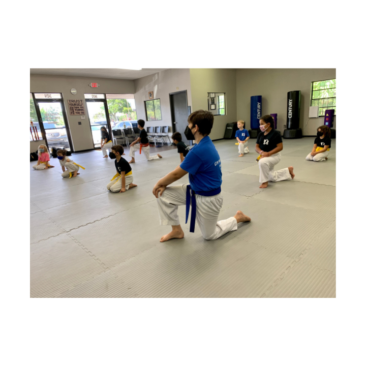 D3 Martial Arts | 34010 US Hwy 19 N, Palm Harbor, FL 34684, USA | Phone: (727) 250-2024