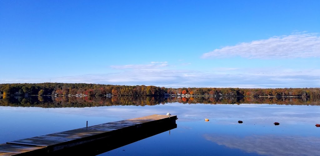 St. Thomas More School | 45 Cottage Rd, Oakdale, CT 06370, USA | Phone: (860) 859-1900
