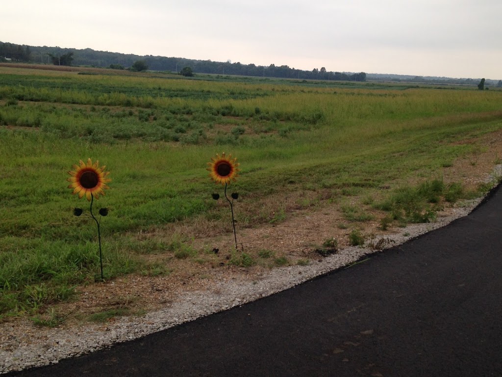 Agricenter Sunflower Trail | 7777 Walnut Grove Rd, Memphis, TN 38120, USA | Phone: (901) 757-7777