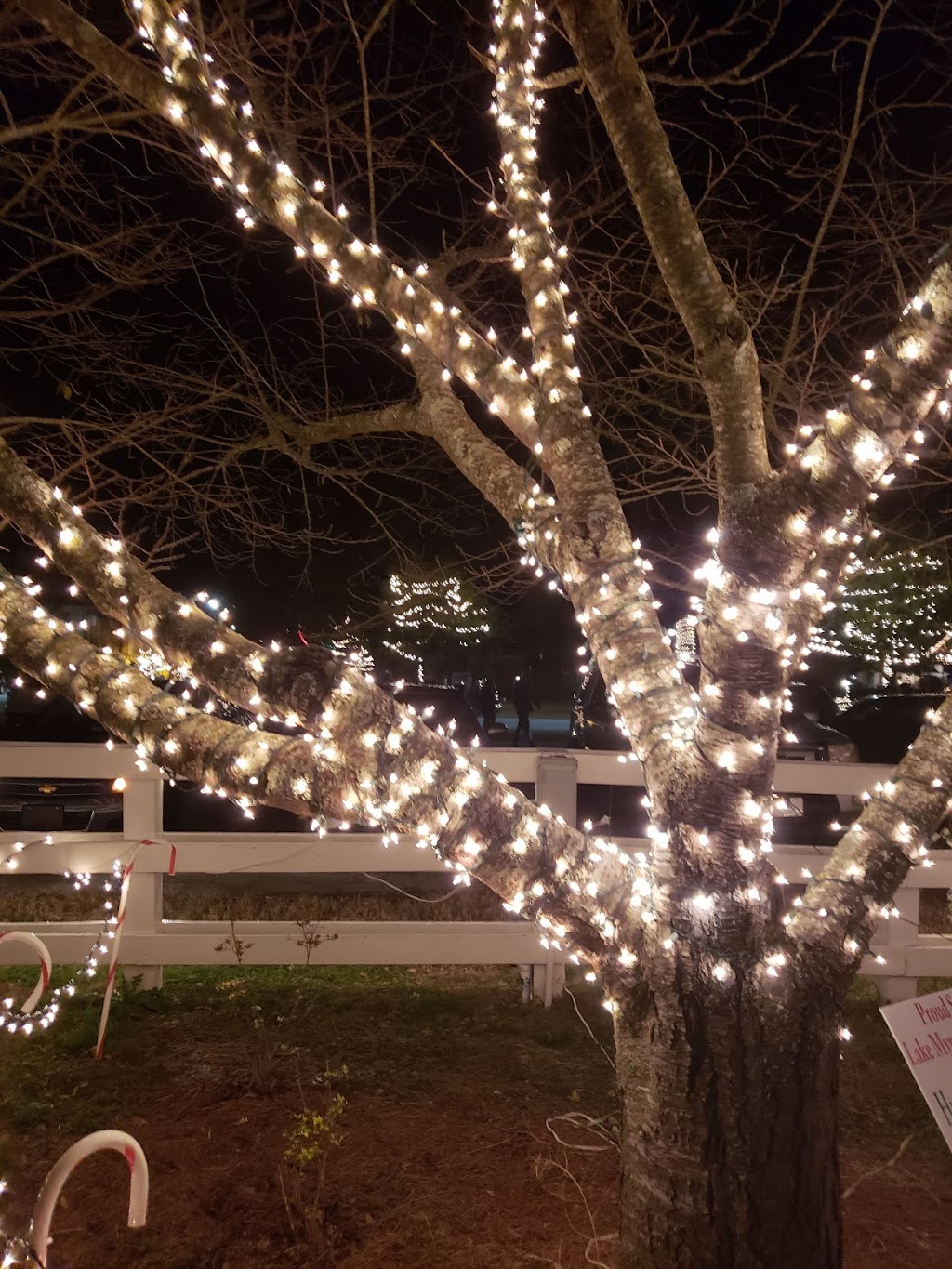 Lake Myra Christmas Light Show | 10 S Cypress St, Wendell, NC 27591, USA | Phone: (919) 339-2073