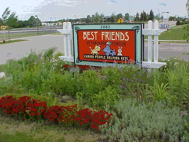 Best Friends Veterinary Center | 2082 Cheyenne Ct, Grafton, WI 53024, USA | Phone: (262) 375-0130