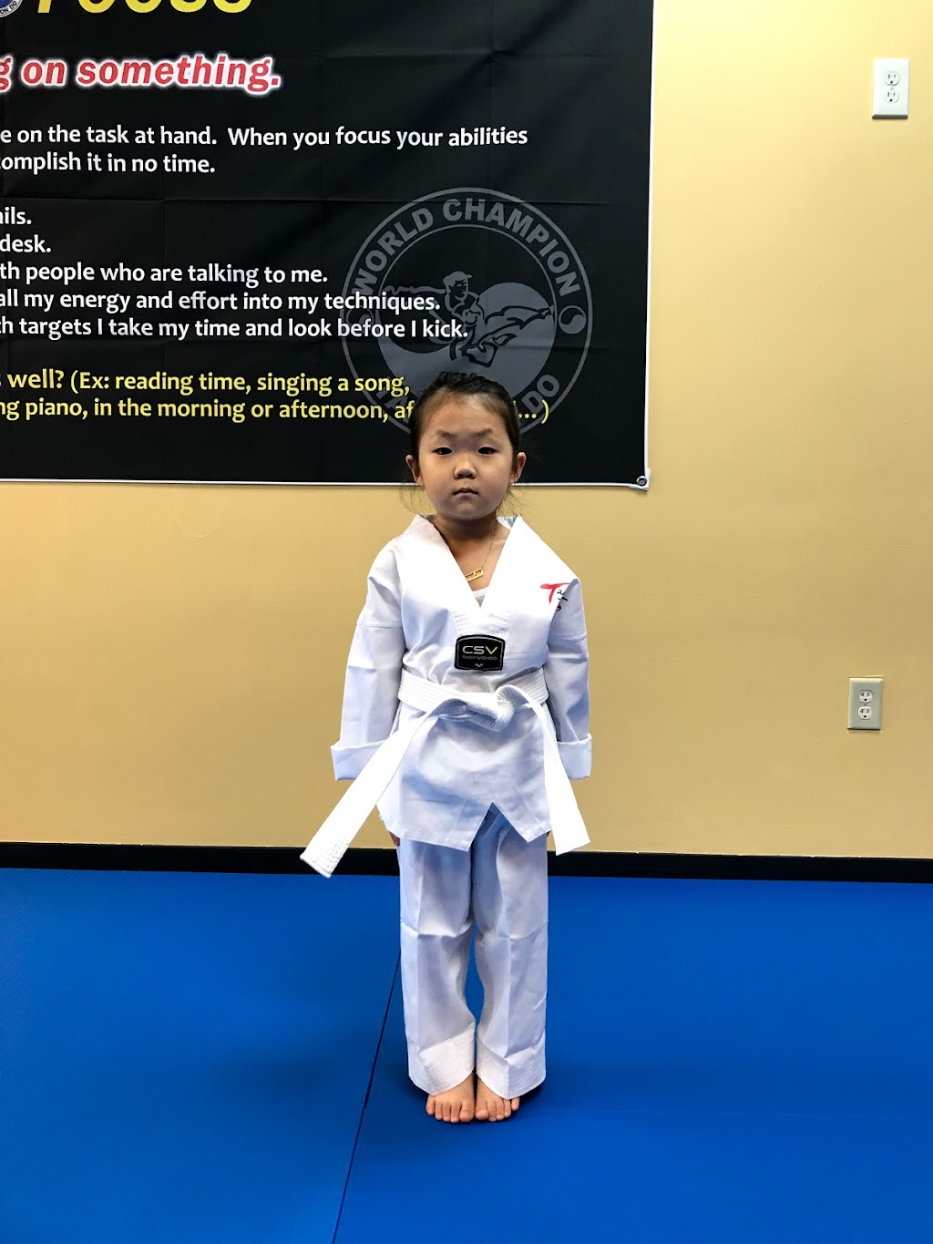 World Champion Taekwondo-Forest Heights | 2057 NW Miller Rd, Portland, OR 97229, USA | Phone: (503) 764-9829