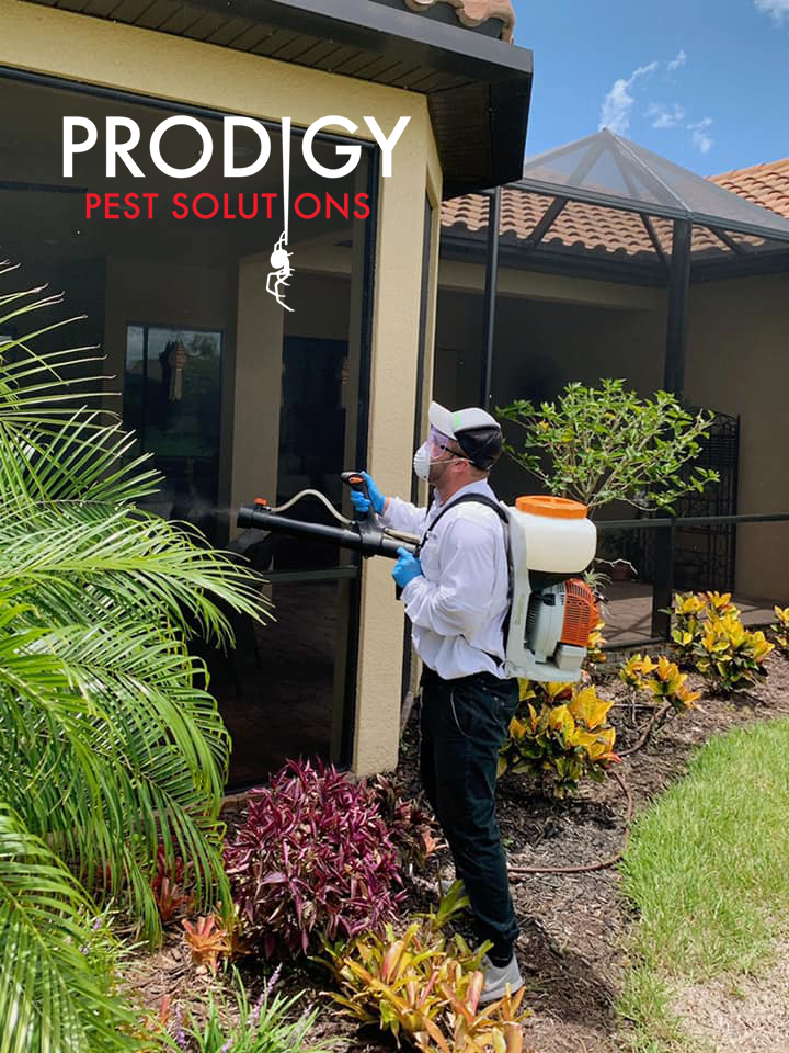 Prodigy Pest Solutions | 1661 W University Pkwy Unit A, Sarasota, FL 34243, USA | Phone: (941) 225-4010