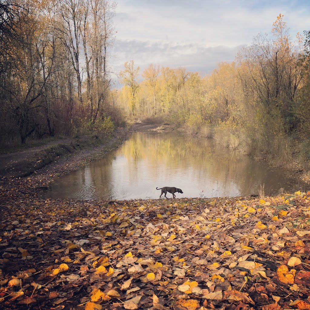 Friends of the Sandy River Delta | Thousand Acres Rd, Troutdale, OR 97060, USA | Phone: (541) 308-1700