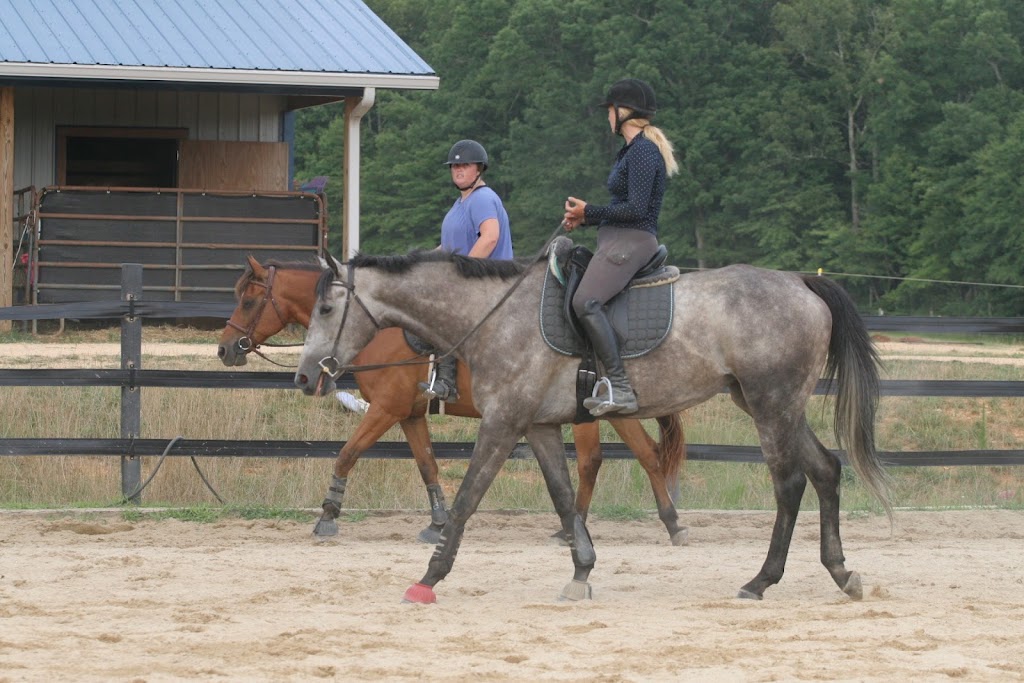 Double Take Stables | 7825 Yarborough Rd, Mebane, NC 27302, USA | Phone: (919) 903-6973