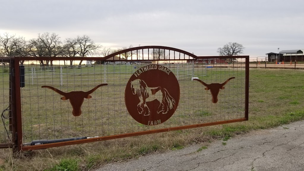 Feathered Grace Farm | 154 FM 672, Dale, TX 78616, USA | Phone: (512) 590-5879