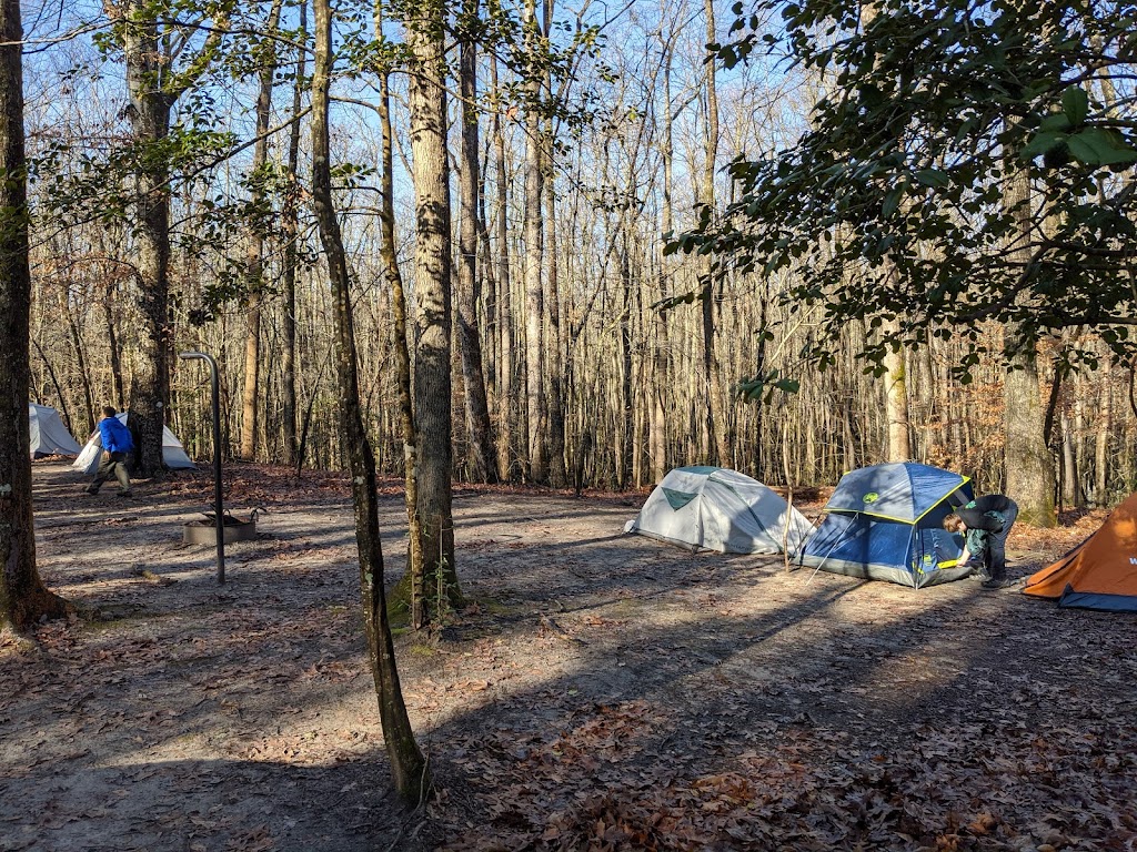 Merchants Millpond State Park - Walk-in Group Campsites | Gatesville, NC 27938, USA | Phone: (252) 301-8851