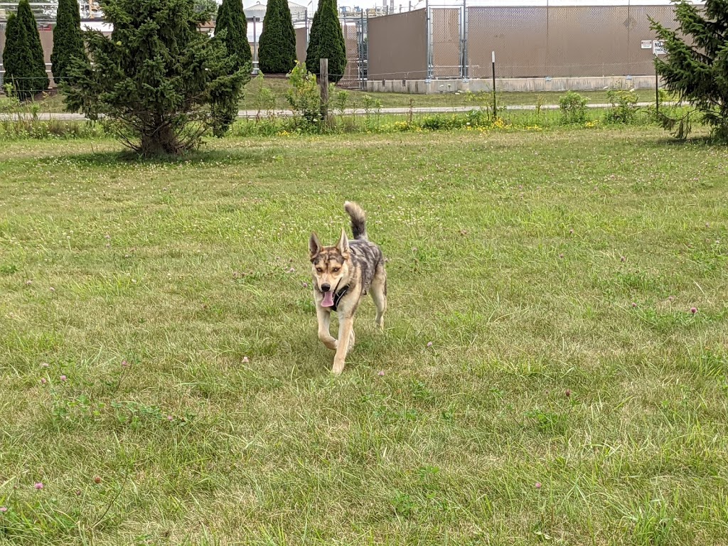 Marvin & Marie Schweers Dog Park | 700 Stevenson St, DeForest, WI 53532, USA | Phone: (608) 846-6751