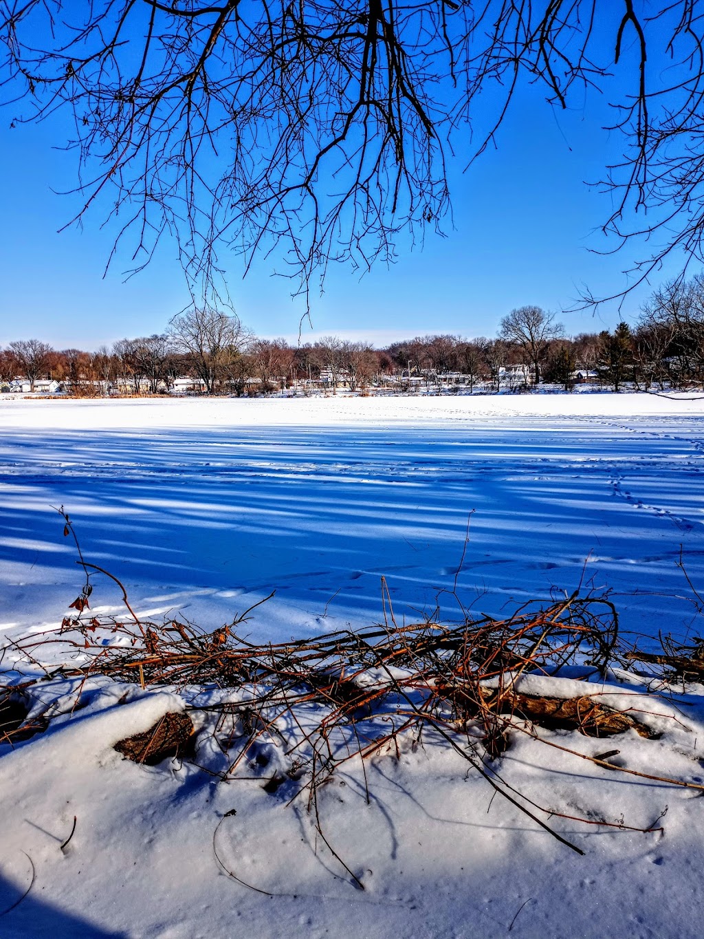 Acewood Park | 1402 Acewood Blvd, Madison, WI 53716, USA | Phone: (608) 266-4711