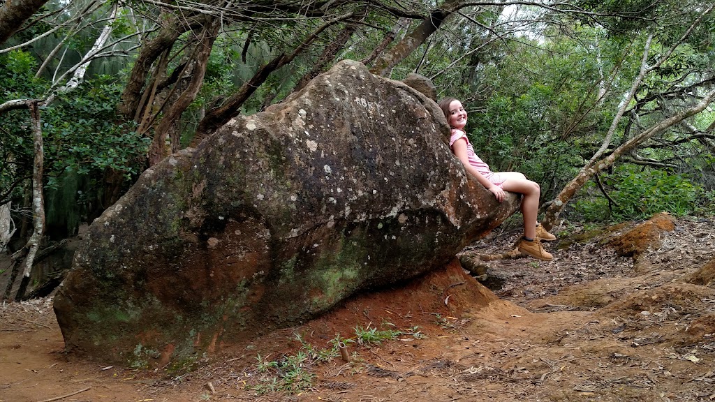 Kolekole Hike | Kolekole Dr, Wahiawa, HI 96786, USA | Phone: (808) 655-1434