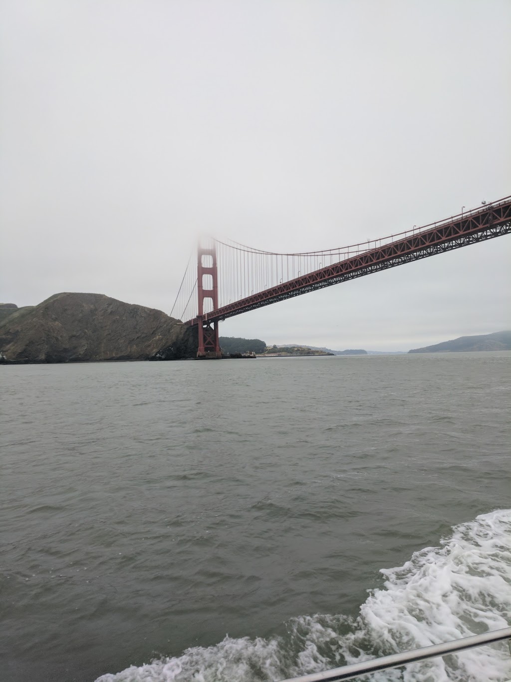 SF Bay Whale Watching | Pier 39, Beach St, San Francisco, CA 94133, USA | Phone: (415) 331-6267