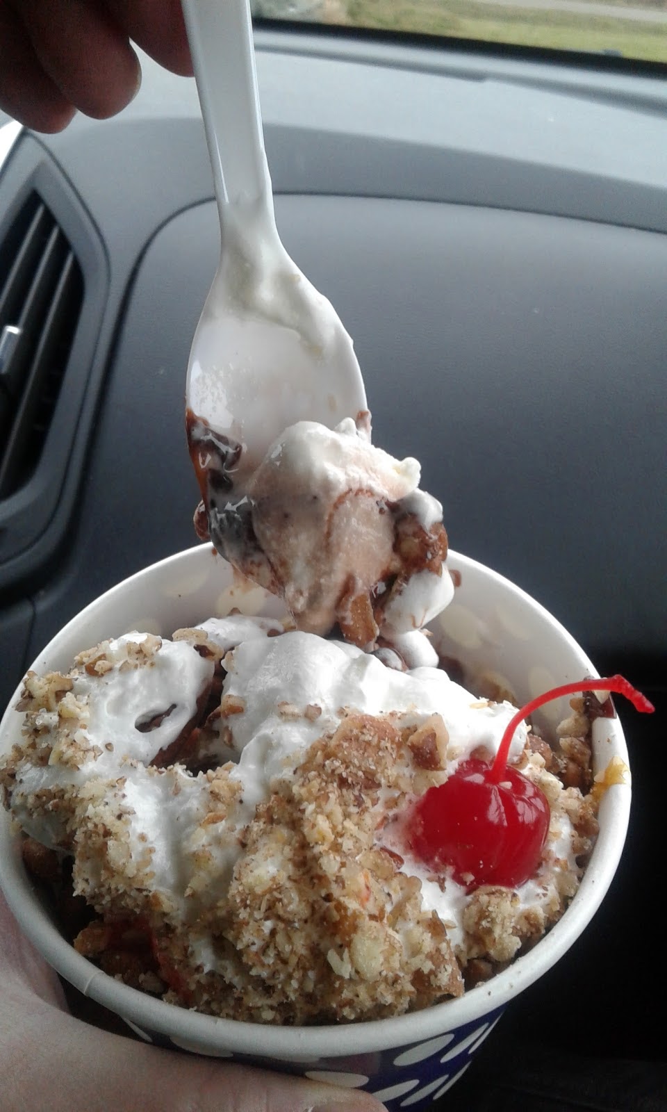 Almost Heaven Ice Cream | 6590 Middlebranch Ave NE, Canton, OH 44721, USA | Phone: (330) 587-1094