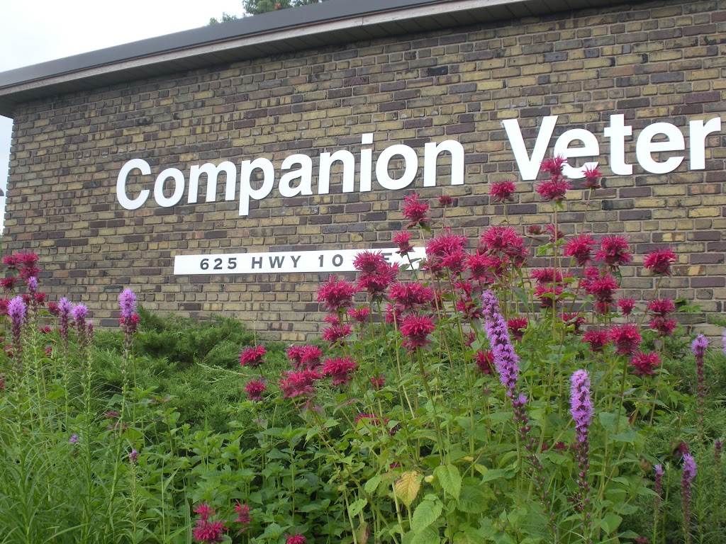 Companion Veterinary Hospital | 625 County Rd 10, Blaine, MN 55434, USA | Phone: (763) 755-9255