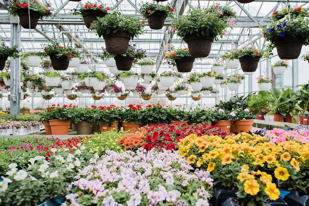 Dutch Mill Greenhouse | 18443 OH-4, Marysville, OH 43040, USA | Phone: (937) 642-0511