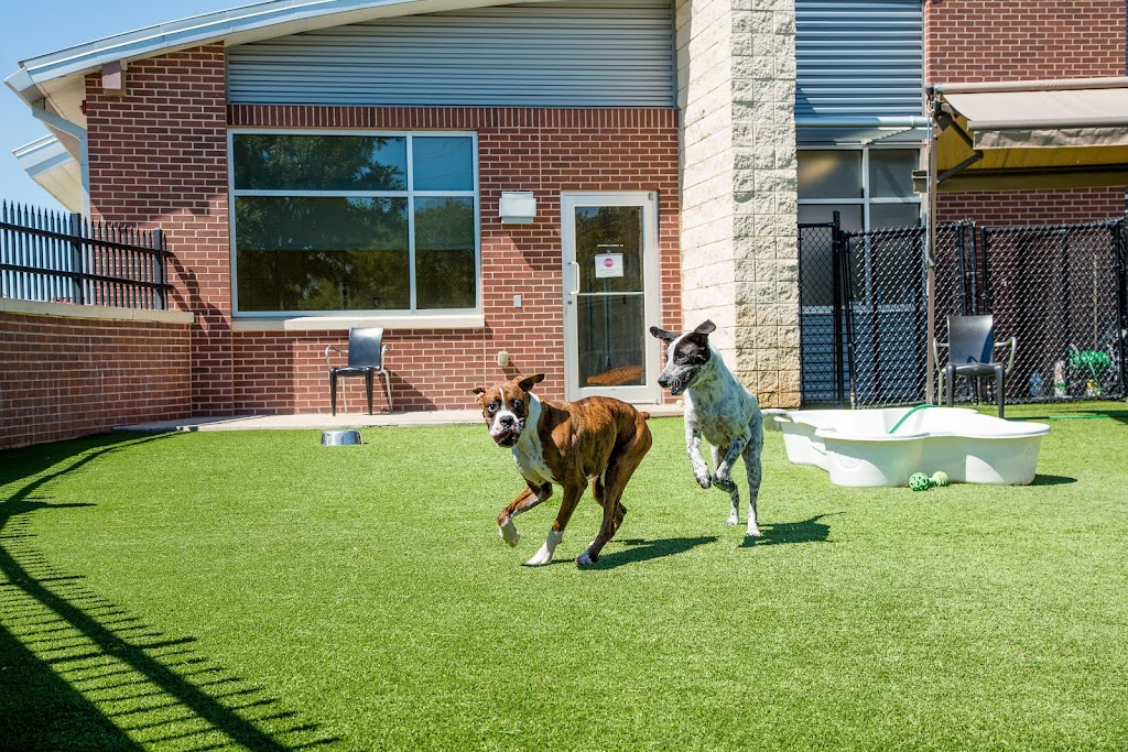 Farmers Branch Animal Adoption Center | 3727 Valley View Ln, Farmers Branch, TX 75244, USA | Phone: (972) 919-8770