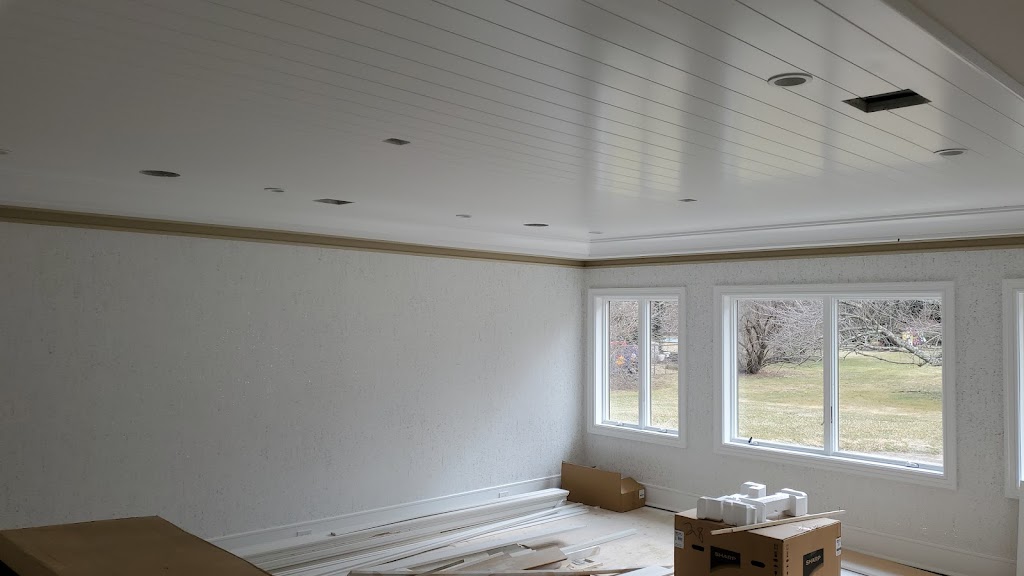 Rachel Painting | 13 Desmond Pl, Hicksville, NY 11801, USA | Phone: (917) 951-2247