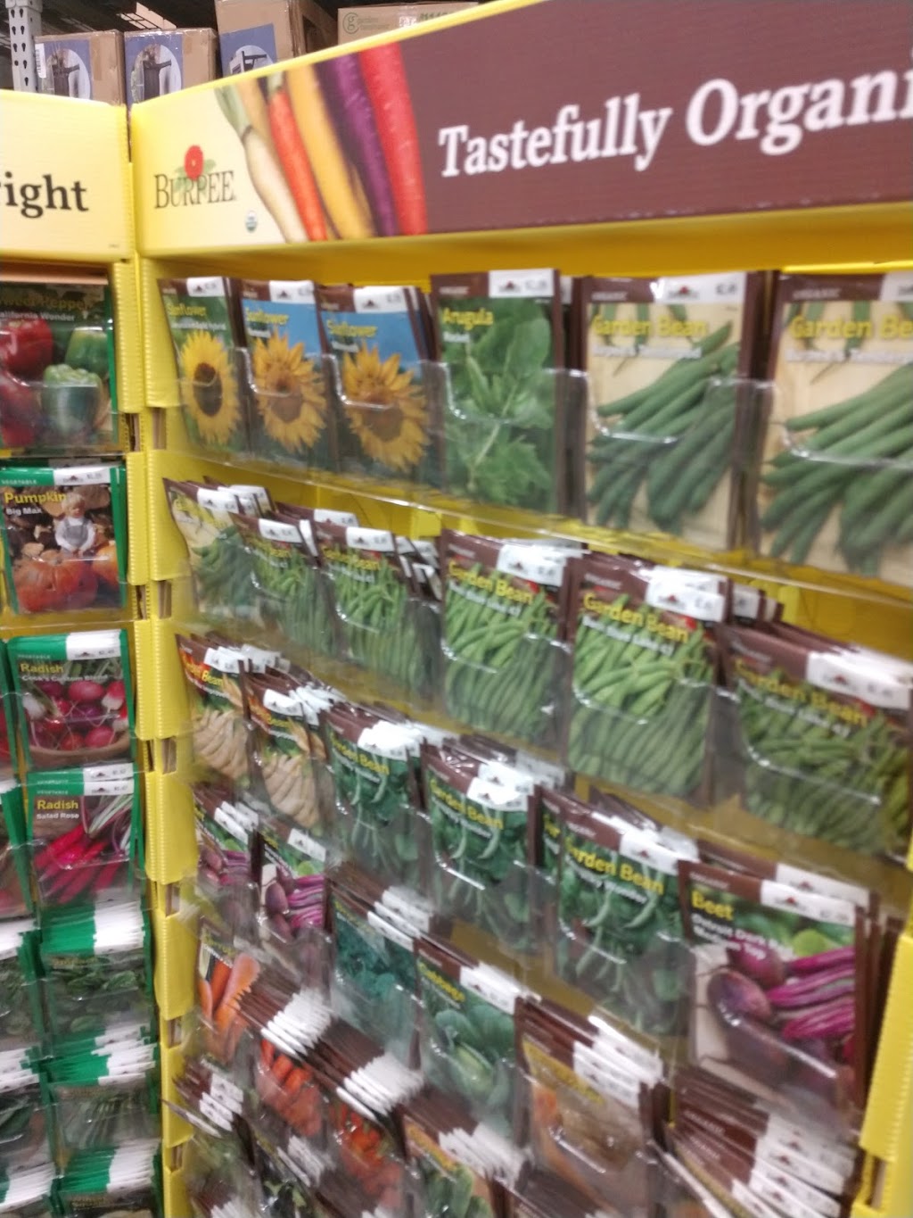 Lowes Garden Center | 5291 US-280, Birmingham, AL 35242, USA | Phone: (205) 981-4100