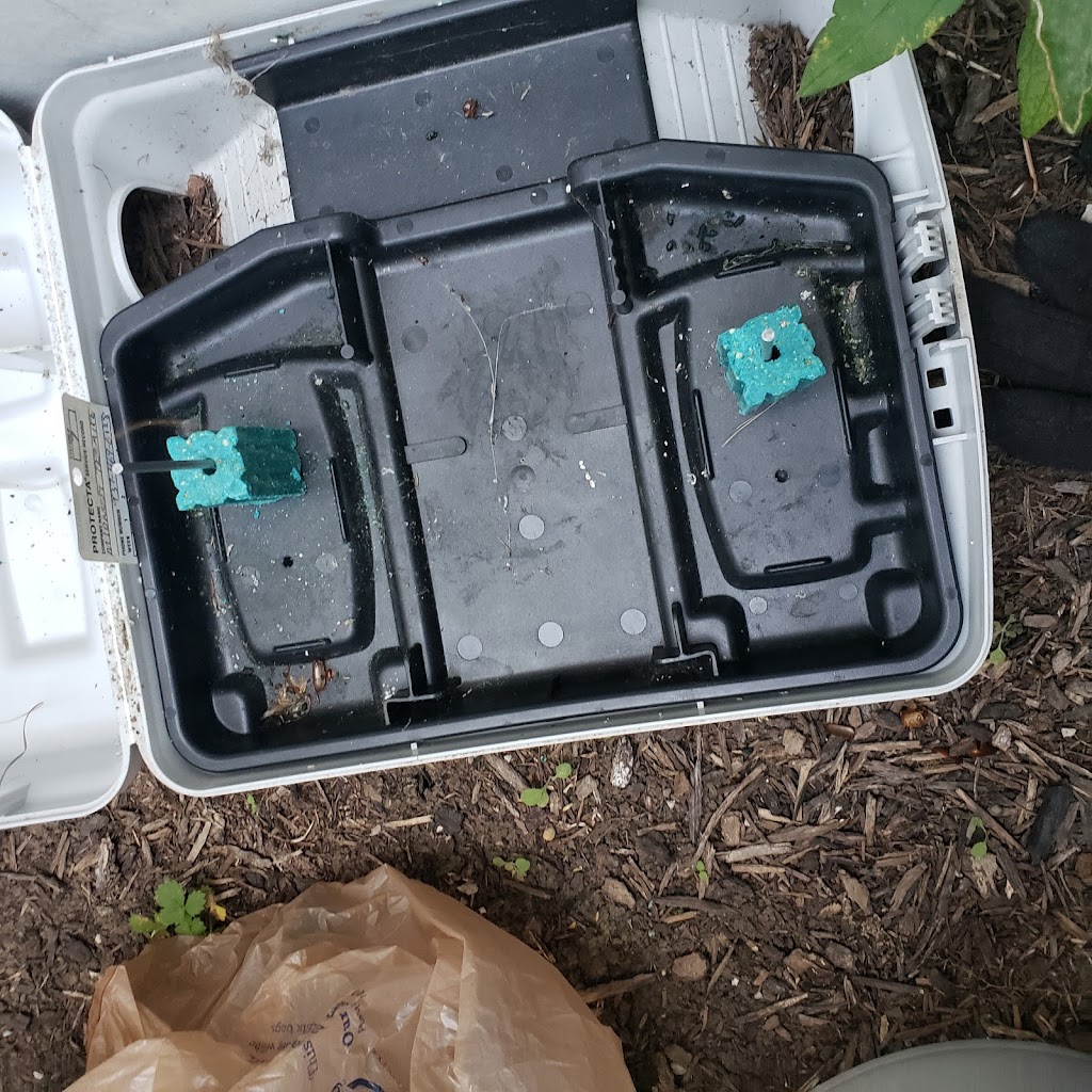 Midwest Termite & Pest Control | 5133 Pensacola Blvd, Dayton, OH 45439, USA | Phone: (937) 469-6128