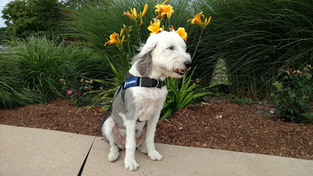 Campus Greens | 1532 Fender Rd, Naperville, IL 60565, USA | Phone: (630) 848-5000