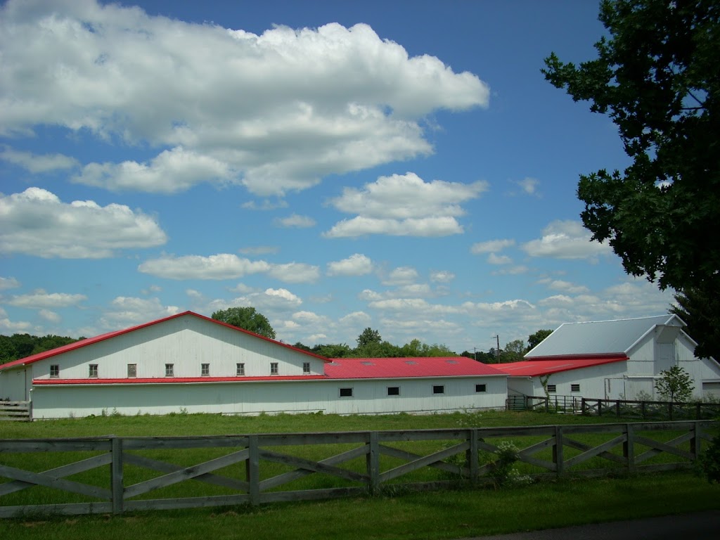 Equine Therapeutic Interaction and Reiki | The Sanctuary at Wild Rose Acres, Morgan Center Rd, Mt Vernon, OH 43050, USA | Phone: (740) 507-7718