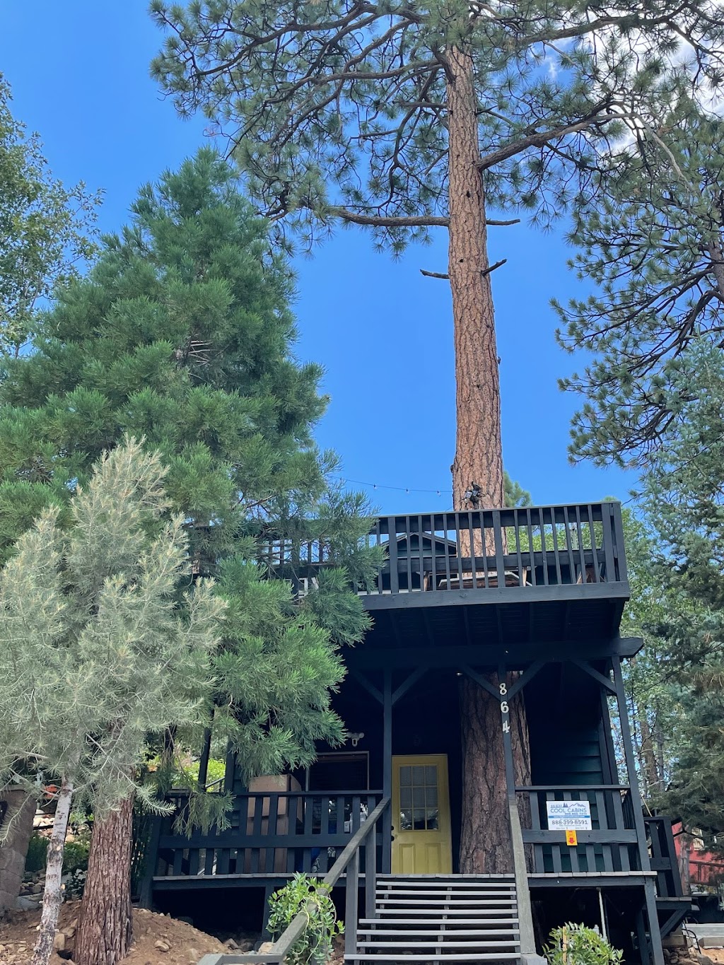 Treehouse by Big Bear Cool Cabins | 864 Kern Ave, Sugarloaf, CA 92386, USA | Phone: (800) 550-8779