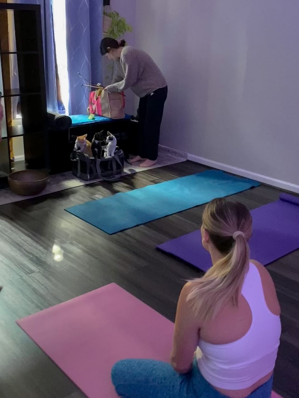 Blue Healer Yoga | 7561 Center Ave Suite 33, Huntington Beach, CA 92647, USA | Phone: (714) 317-2120