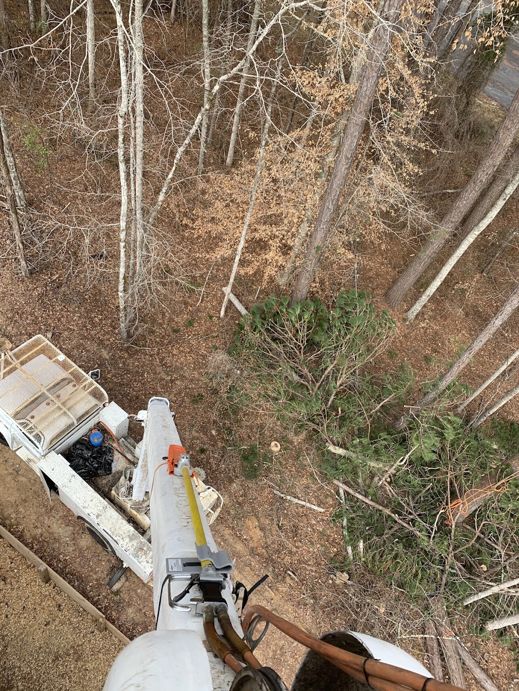 Caldwell Tree Service | 2560 Red Barn Rd, Alexander City, AL 35010 | Phone: (256) 226-5074