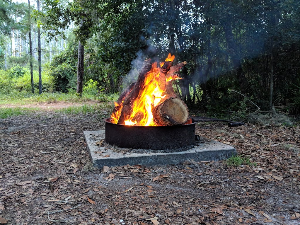 Stafford Beach Campground | Cumberland Island, St Marys, GA 31558, USA | Phone: (218) 820-0362