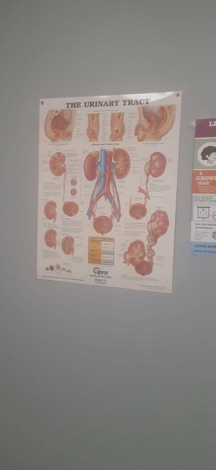 Bekker Jerome DO | 44633 Joy Rd STE 100, Canton Township, MI 48187, USA | Phone: (734) 453-5360