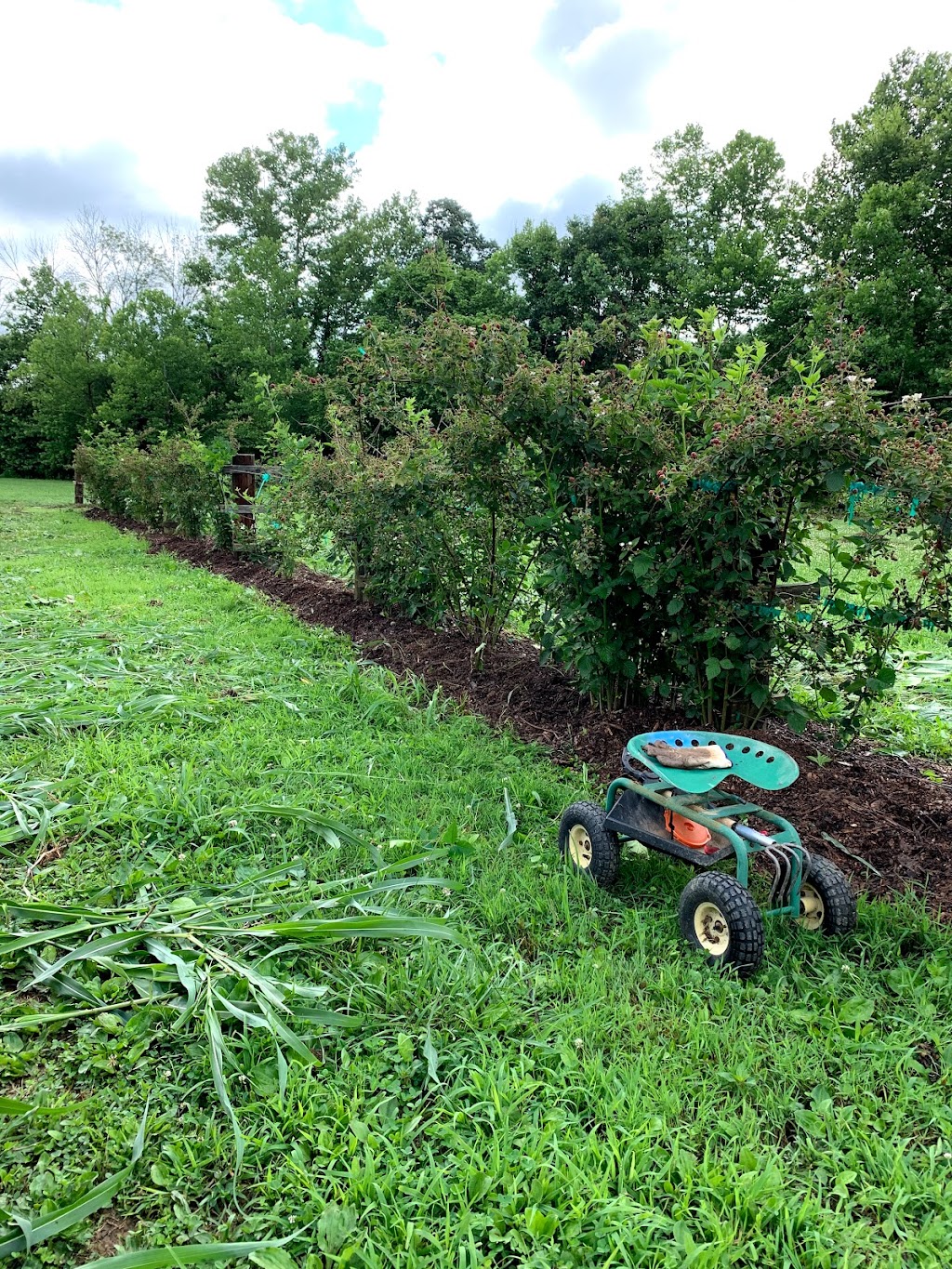 Keeper Creek Farm | 1679 Triplett Rd, Mt Ulla, NC 28125, USA | Phone: (704) 634-8228