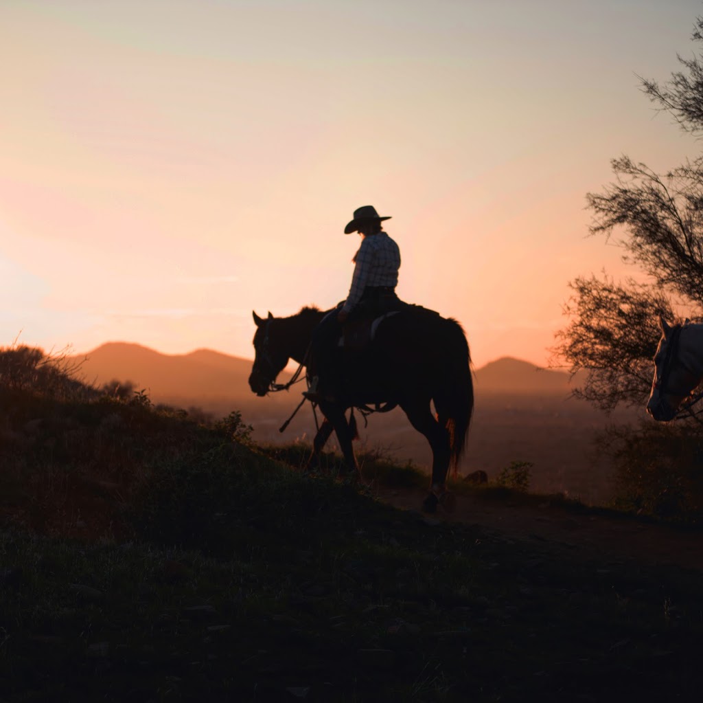 Wild West Horse Adventures | 31402 N 136th St, Scottsdale, AZ 85262, USA | Phone: (623) 824-1947