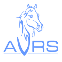 AVRS Furniture Store | 5043 Tuttle Crossing Blvd, Dublin, OH 43016, United States | Phone: (614) 634-3018