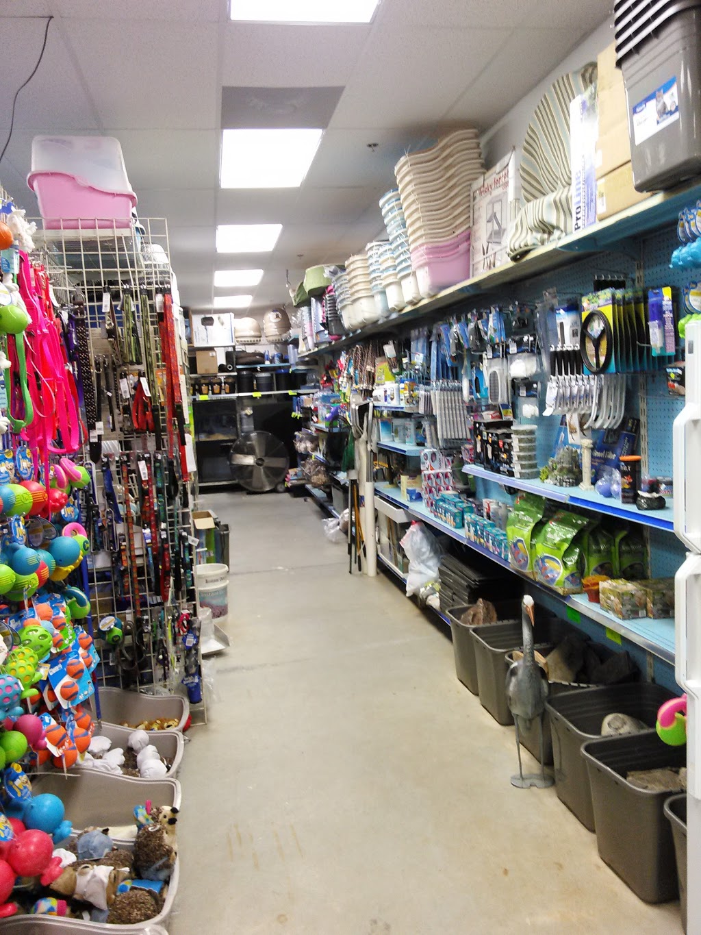 Furry Feet and feathers | 2220 Old Jonesboro Rd #109c, Fairburn, GA 30213 | Phone: (678) 683-7387